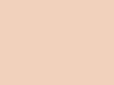Грунтовочная краска Decorazza Fiora (Фиора) в цвете FR 10-63